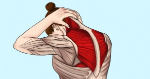 Clasping Neck Stretch
